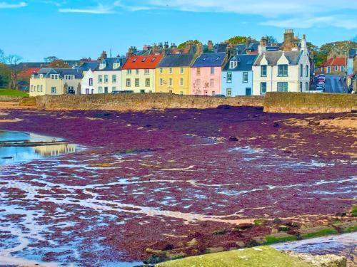The Coastal Inn Outbuilding Cellardyke 외부 사진